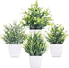 Fake Plants 4 Packs Small Artificial Plants Mini White Potted Greenery Bathroom Accessories Decorations for Desk Bathroom Office Home Room Kitchen Table Decor Indoor