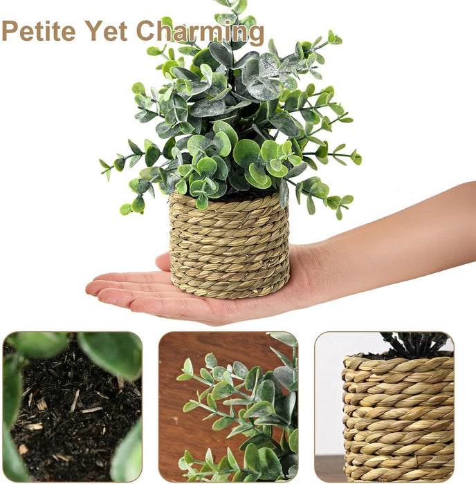 Small Fake Plants, 4 Pack Artificial Plants in Handwoven Seagrass Baskets