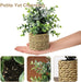 Small Fake Plants, 4 Pack Artificial Plants in Handwoven Seagrass Baskets
