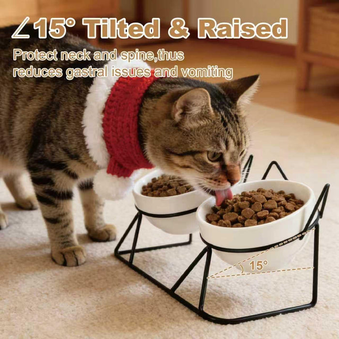 Elevated Tilted Cat Bowls for Indoor Cats，Raised Ceramic Cat Bowl Elevated 15°,Pet Feeding Bowls for Food and Water Anti