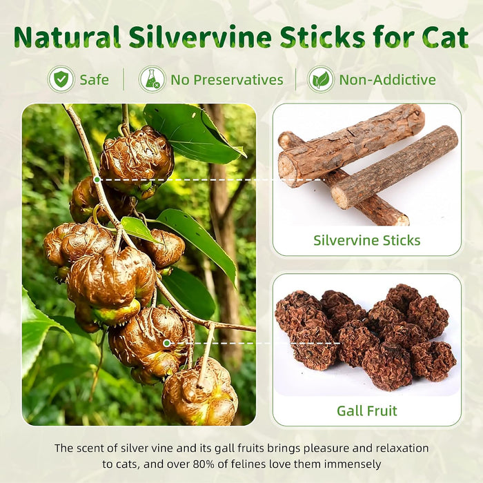 Silvervine Sticks Cat Kitten Chew Toys for Indoor Cats Teeth Cleaning