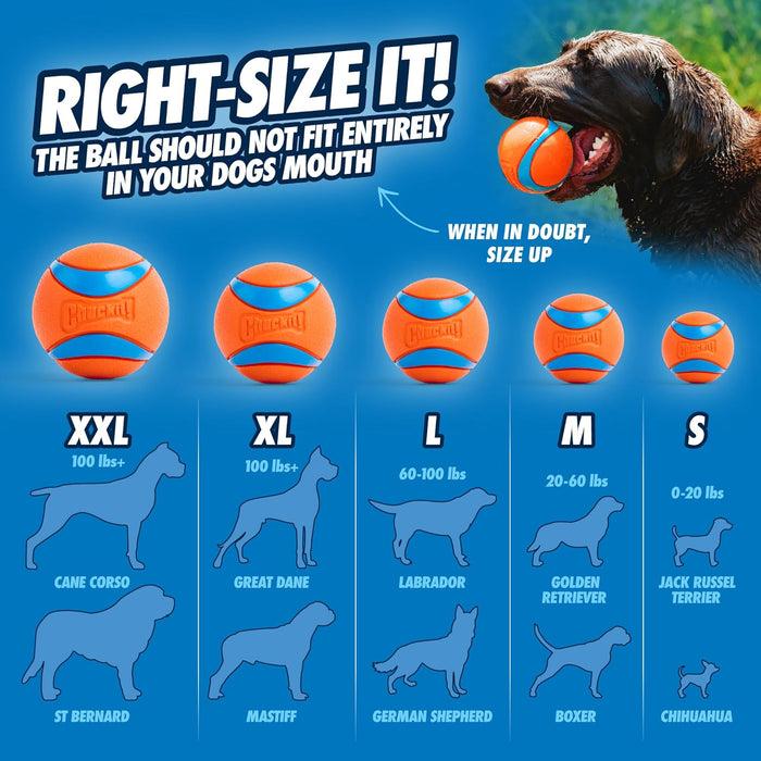 Ultra Ball Dog Toy, Durable Rubber, Medium 2.5-in, 2 Pack