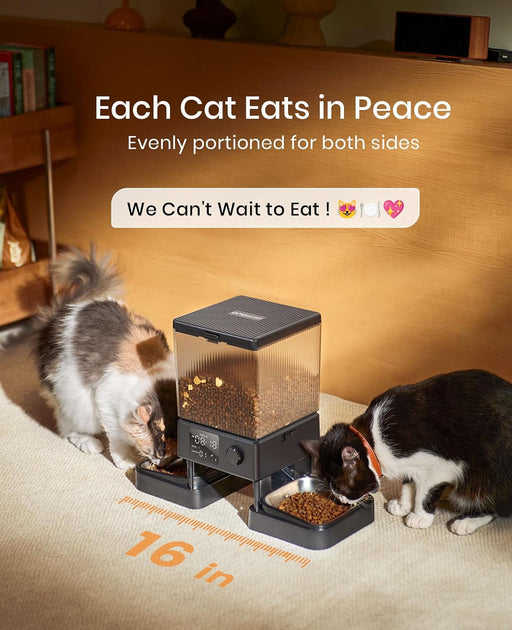 Automatic Cat Feeder for 2 Cats Pets, Timed Cat Food Dispenser