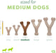 Wishbone Dog Chew Toy for Aggressive Chewers, Real Bacon, Medium
