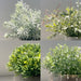 4 Pack Small Fake Plants in White Pulp Pot for Home Decor