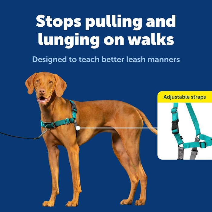 Easy Walk Harness, No Pull Dog Harness, Teal, Medium