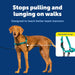 Easy Walk Harness, No Pull Dog Harness, Teal, Medium