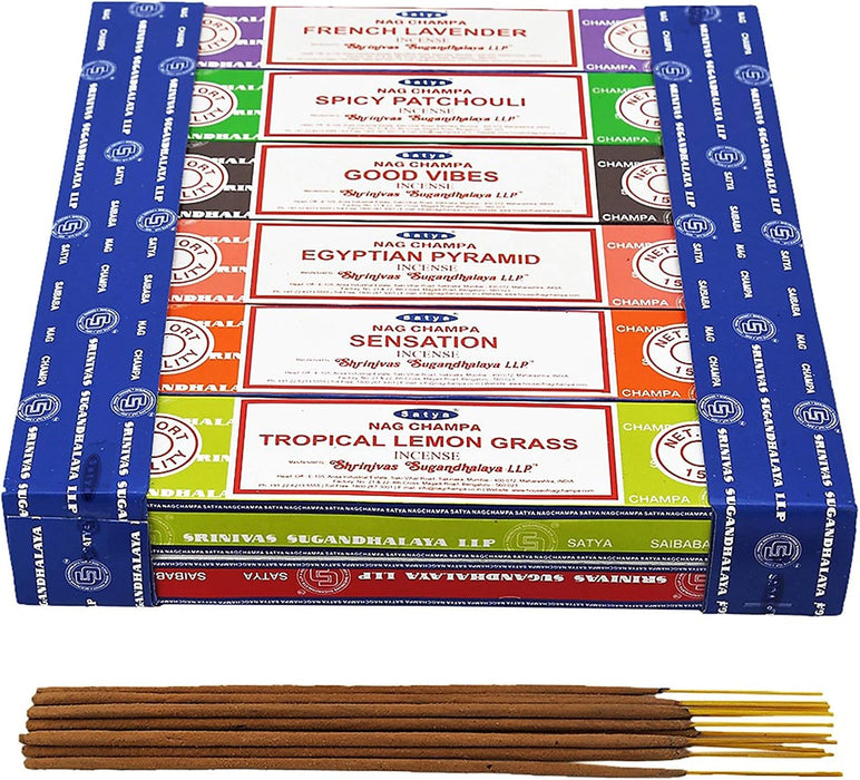12 Pack Assorted Pack 15 Gram x 12 Packs 1ST