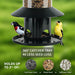 Squirrel-Proof Bird Feeder 360° Feeding Perch Tray for Outdoor Hanging