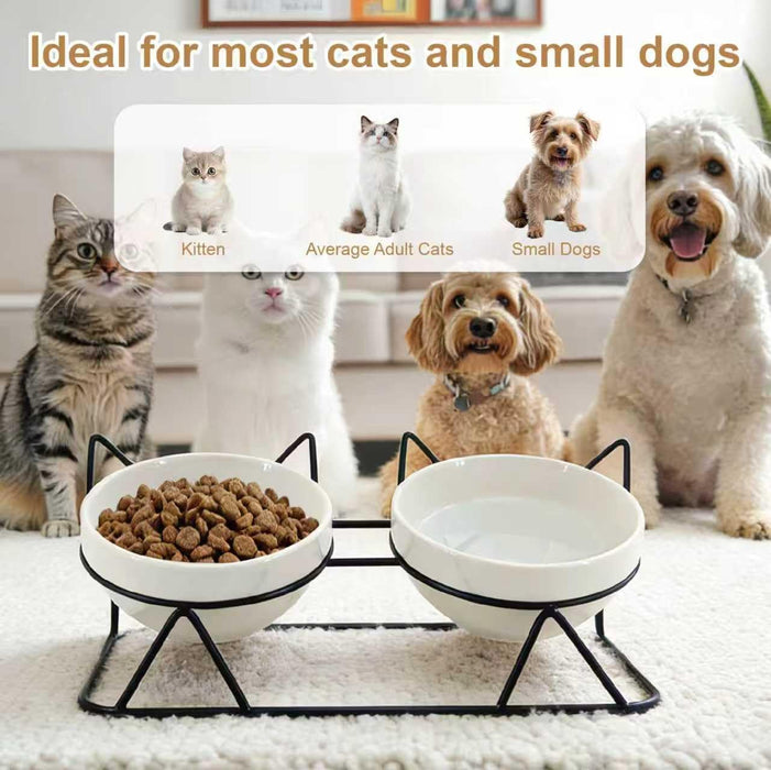 Elevated Tilted Cat Bowls for Indoor Cats，Raised Ceramic Cat Bowl Elevated 15°,Pet Feeding Bowls for Food and Water Anti