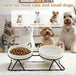 Elevated Tilted Cat Bowls for Indoor Cats，Raised Ceramic Cat Bowl Elevated 15°,Pet Feeding Bowls for Food and Water Anti