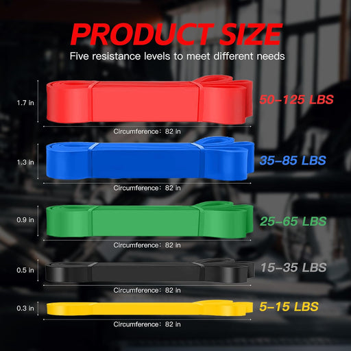 Pull Up Bands, Resistance Bands Set, Exercise Workout Bands for Men & Women, Ideal for Body Stretching, Physical Therapy