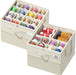 Plus Size 2 Pack Shoe Organizer for Closet, Foldable Shoe Storage Box