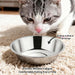6PCS 5.6" Stainless Steel Whisker Friendly Cat Food & Water Bowls