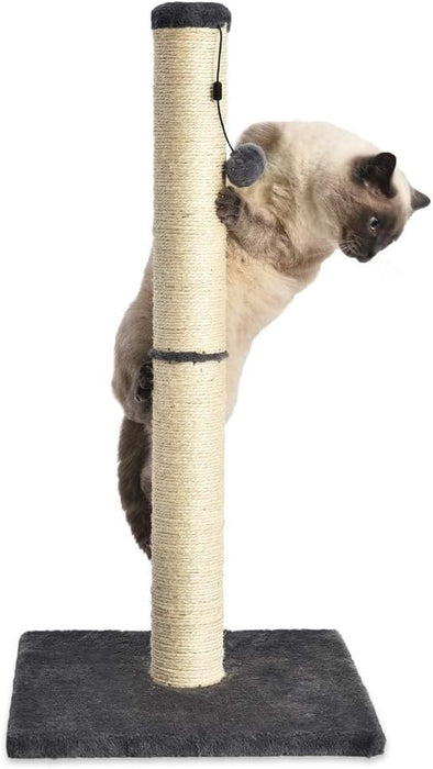 Cat Scratching Post for Indoor Cats & Kittens, Medium (31.5"H), Cat Furniture with Dangling Ball Toy, Grey