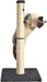 Cat Scratching Post for Indoor Cats & Kittens, Medium (31.5"H), Cat Furniture with Dangling Ball Toy, Grey