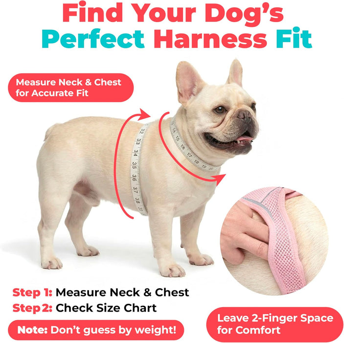 Voyager Step-in Air Dog Vest Harness - Moss Green, Small