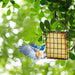2Pcs Suet Bird Feeders, Outdoor Garden Cages for Outside Hanging