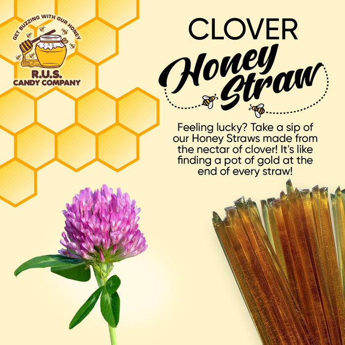 25 Pack Honey Sticks For Tea, Snacking, Honey Straws Packets Single Serve Stir Sticks, Natural Flavor by R.U.S Candy Com