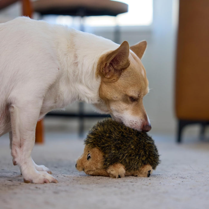 Hedgehogz Plush Dog Toy, Squeaks, Small, 6" x 4.5"