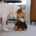 Hedgehogz Plush Dog Toy, Squeaks, Small, 6" x 4.5"