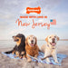 Power Chew Original Bone Dog Chew Toys, Small, 3 Count