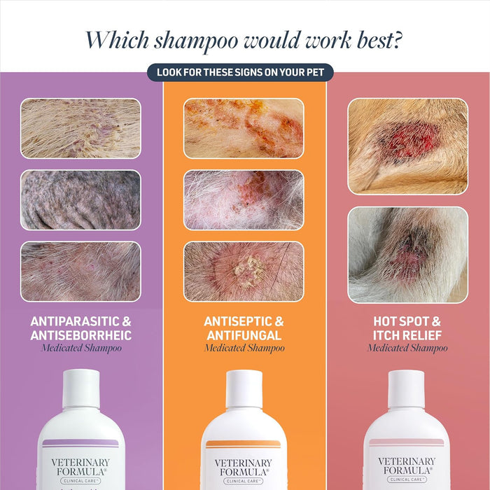 Clinical Care Antiseptic & Antifungal Shampoo, 16 oz