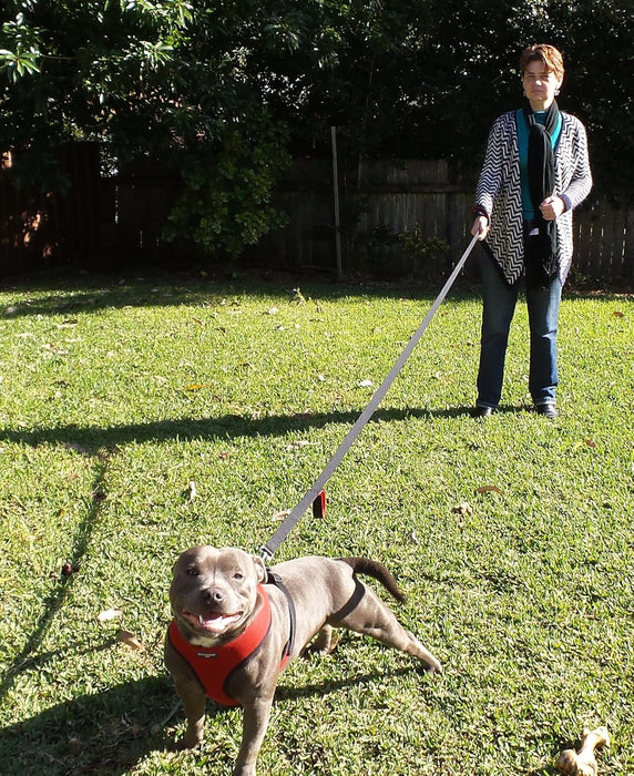 6 ft Reflective Dual-Handle Dog Leash — Black