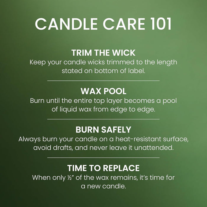 Balsam & Cedar Scented Candle, 22oz Large Jar