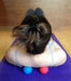 Massage Lacrosse Balls for Myofascial Release, Trigger Point Therapy, Muscle Knots, and Yoga Therapy. Set of 2 Firm Balls (Blue and Red)