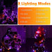 Orange Purple Halloween Solar String Lights,2 Pack Total 80FT 240LED