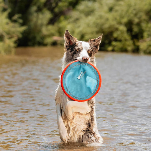 Paraflight Flying Disc Dog Toy, Floats, Size Large, 1 Pack