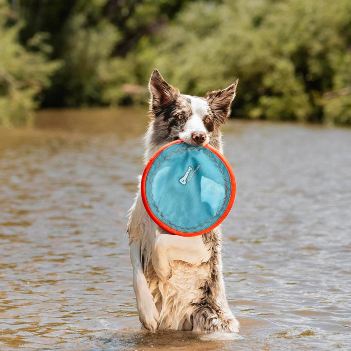 Paraflight Flying Disc Dog Toy, Floats, Size Large, 1 Pack