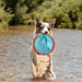 Paraflight Flying Disc Dog Toy, Floats, Size Large, 1 Pack