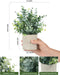 2 Pcs Small Fake Plants Eucalyptus, Artificial Plants Indoor for Shelf, Potted Eucalyptus Plants for Home/Bathroom/Potte