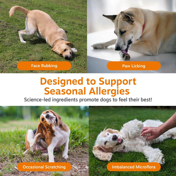 Dog Allergy Chews - Dog Allergy Relief, Lamb, 90 Ct