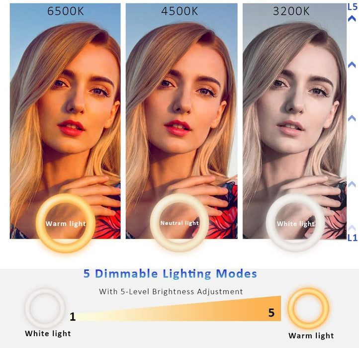 Video Conference Lighting Kit, Ring Light for Monitor Clip On