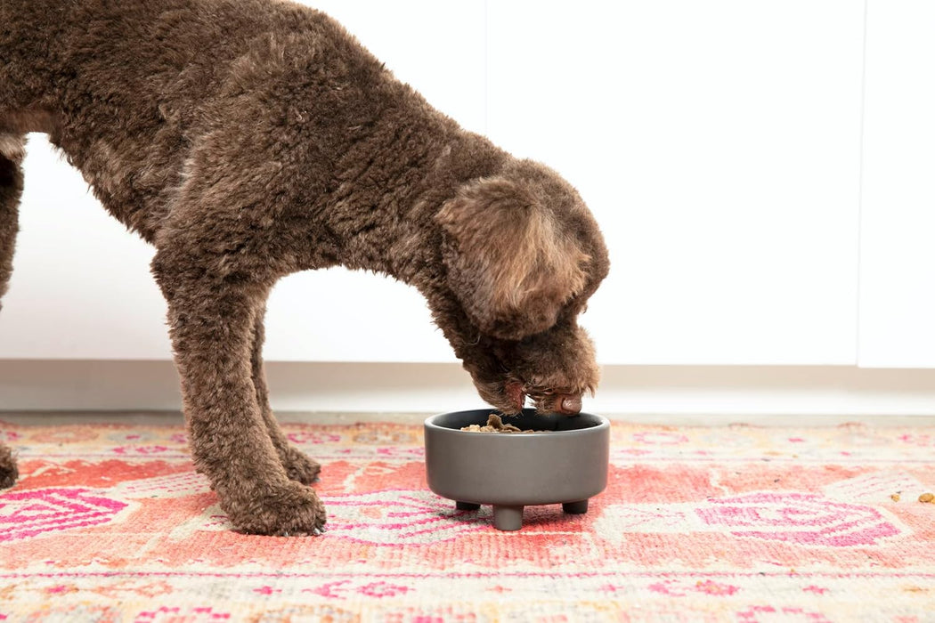 Uplift Ceramic Dog Bowl for Small Medium and Large Breeds - Heavyweight and Durable Pet Food and Water Dish Crock, Dishw