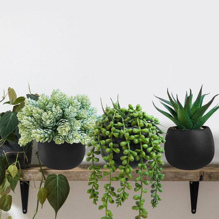 Set of 3 Artificial Succulent Plants in Black Concrete Pots Faux Aloe Hops String of Pearls Potted Plants Small Fake Pla