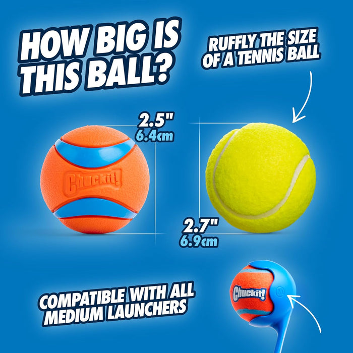 Ultra Ball Dog Toy, Durable Rubber, Medium 2.5-in, 2 Pack