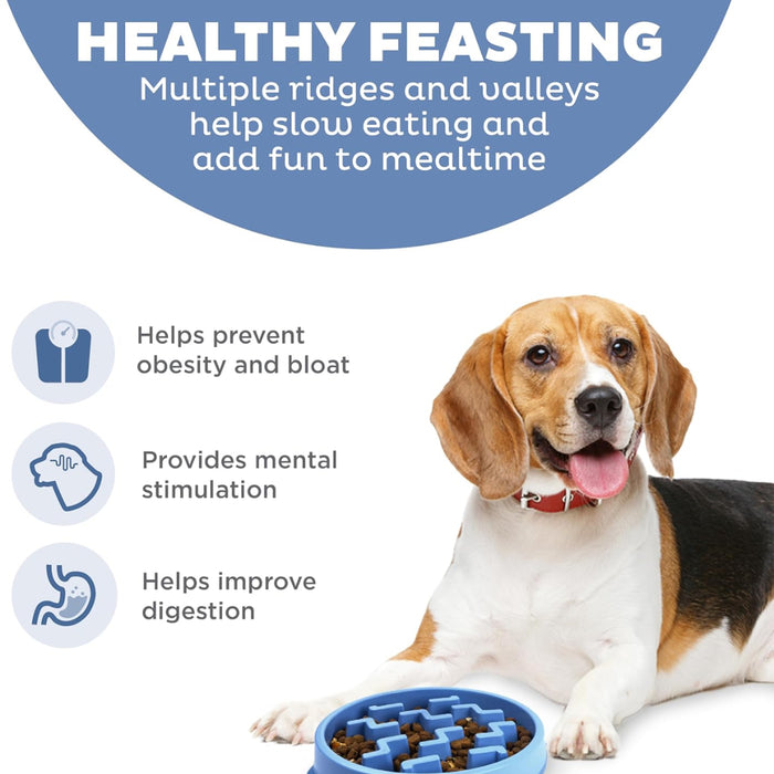 Medium Slow-Feeder Pet Bowl