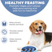 Medium Slow-Feeder Pet Bowl