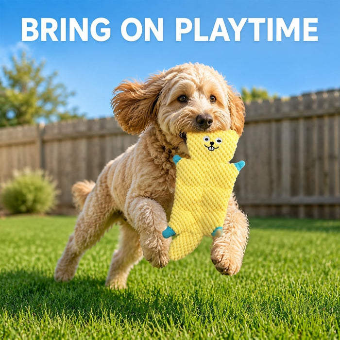 Not Stuffing Dog Toys, Soft Plush Animal Toys for Dogs,5 Pack Durable Stuffless Chew Toys for Small & Medium Dogs, Inter
