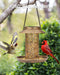 Solar Bird Feeder for Outdoors Hanging, Metal Wild Bird Feeder for Cardinals Solar Garden Lantern with S Hook as Gift fo