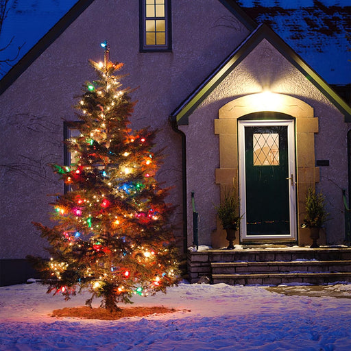 60 LED Slow Twinkle Christmas String Lights, Multicolor Soft Glow