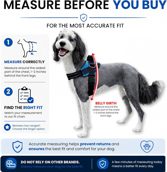 Essential Dog Harness, No-Pull Pet Vest (Oceanic Blue,S)
