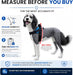 Essential Dog Harness, No-Pull Pet Vest (Oceanic Blue,S)