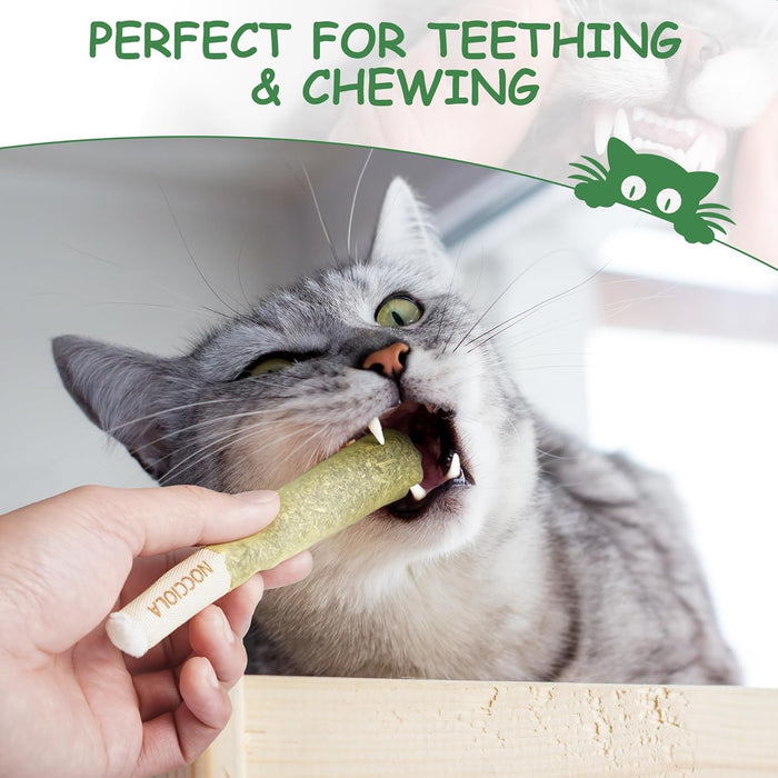 3 Pack Catnip Toys for Cats, Funny Cat Toys Filled with 100% Pure Organic Catnip, Safe Kitten Teething Chew and Kicker Toys, Stress Relieving Fun for Indoor Cats