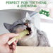 3 Pack Catnip Toys for Cats, Funny Cat Toys Filled with 100% Pure Organic Catnip, Safe Kitten Teething Chew and Kicker Toys, Stress Relieving Fun for Indoor Cats