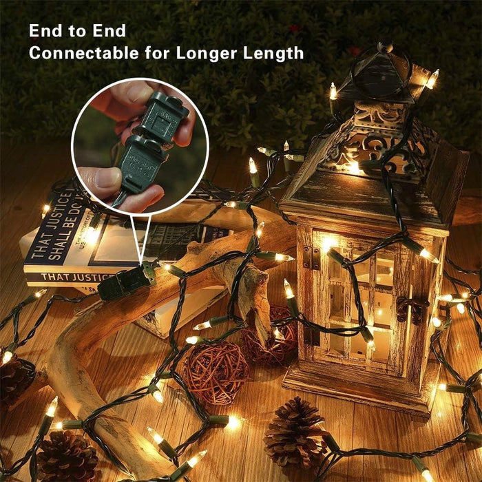 2 Pack Warm White Christmas Lights, 50-Count Green Wire